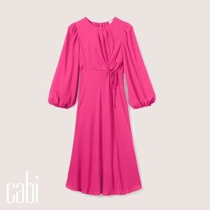 Cabi Delight Dress